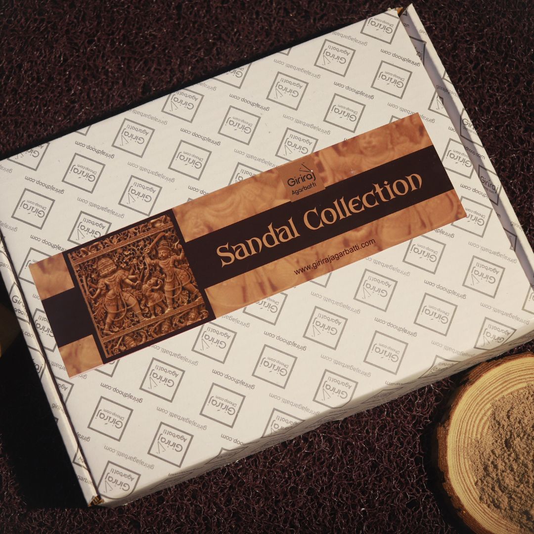 SANDAL Collection 6 IN 1