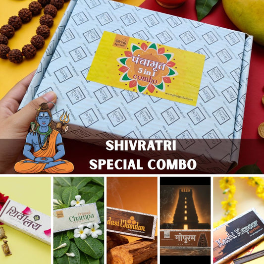 Panchamrut 5 IN 1 Combo(Shivratri Special)